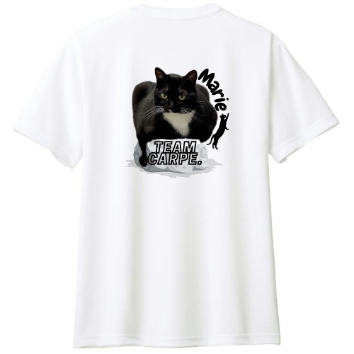 팀카르페 클라이밍크루 기능성 티셔츠 고양이 디자인